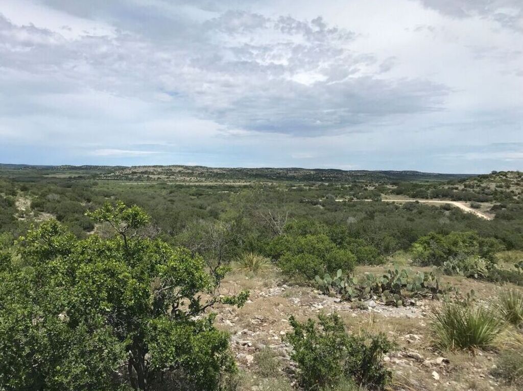 Home, Affordable Texas Ranches, Shawn Trejo Land Sales